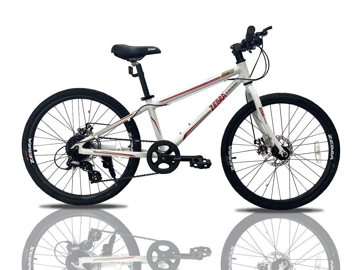 Kids childs lightweight alloy bicycle 24